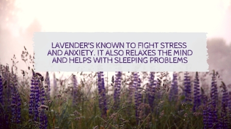 Lavender's known to fight stress, and anxiety. It also helps to fallasleep and relax the mind.